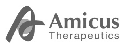 Amicus_gray_logo Amicus logo